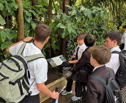 360796